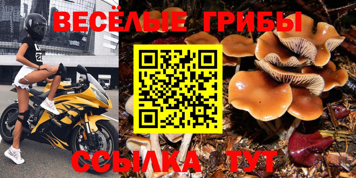 Псилоцибиновые грибы Magic Shrooms  Вход с VPN  Анапа 
